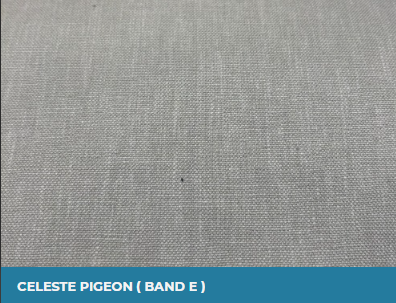 Celeste Pigeon (Band E)